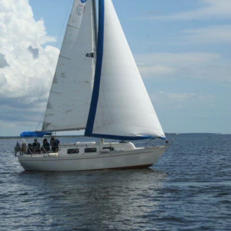 Sea Scouts 1