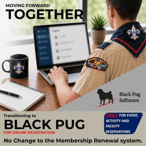 Black Pug2